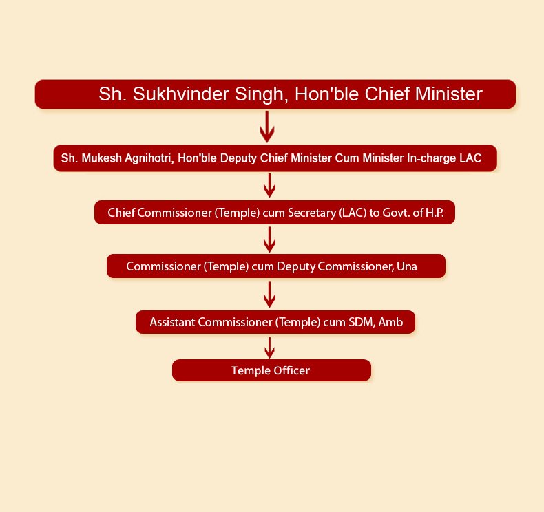 Temple Organizational Chart